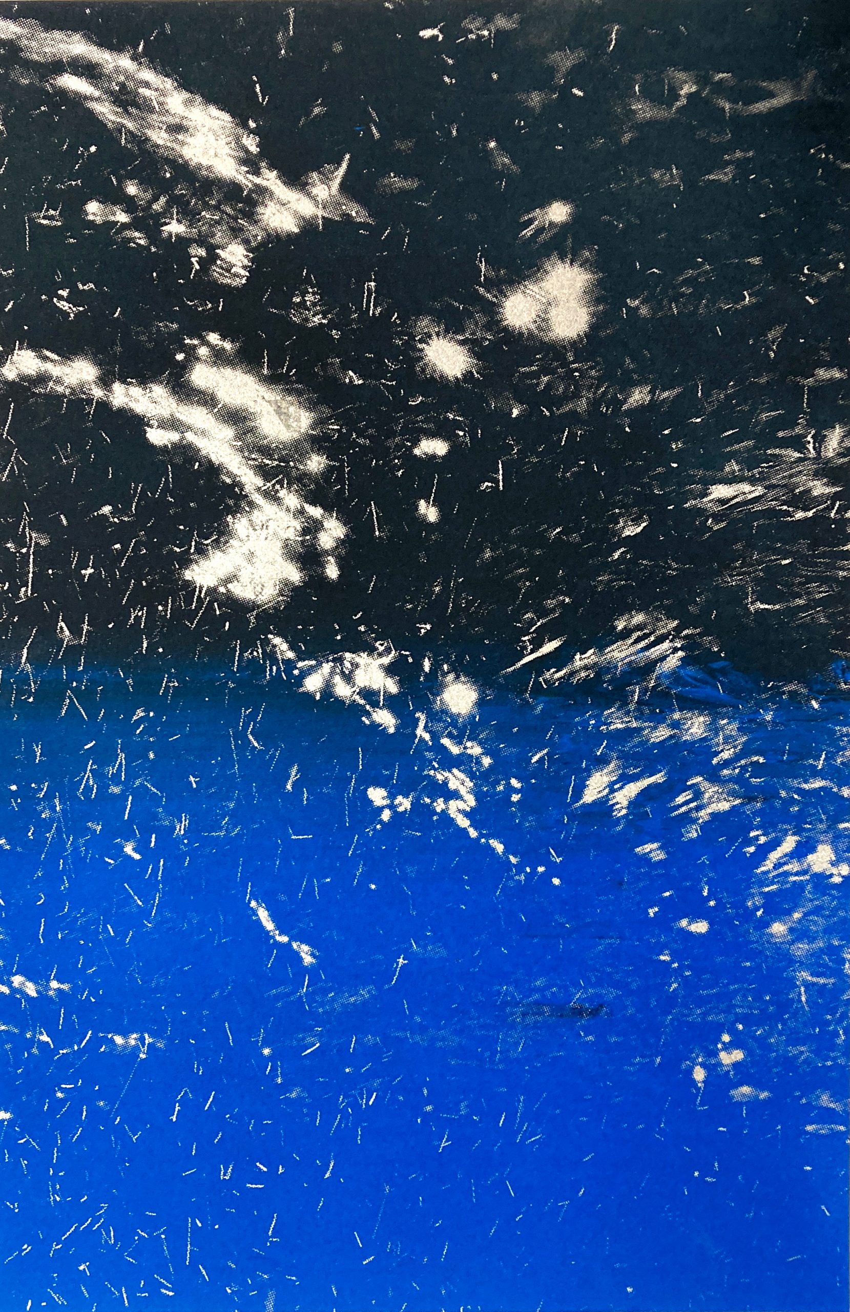 Poésie des éléments, Claire Rolland