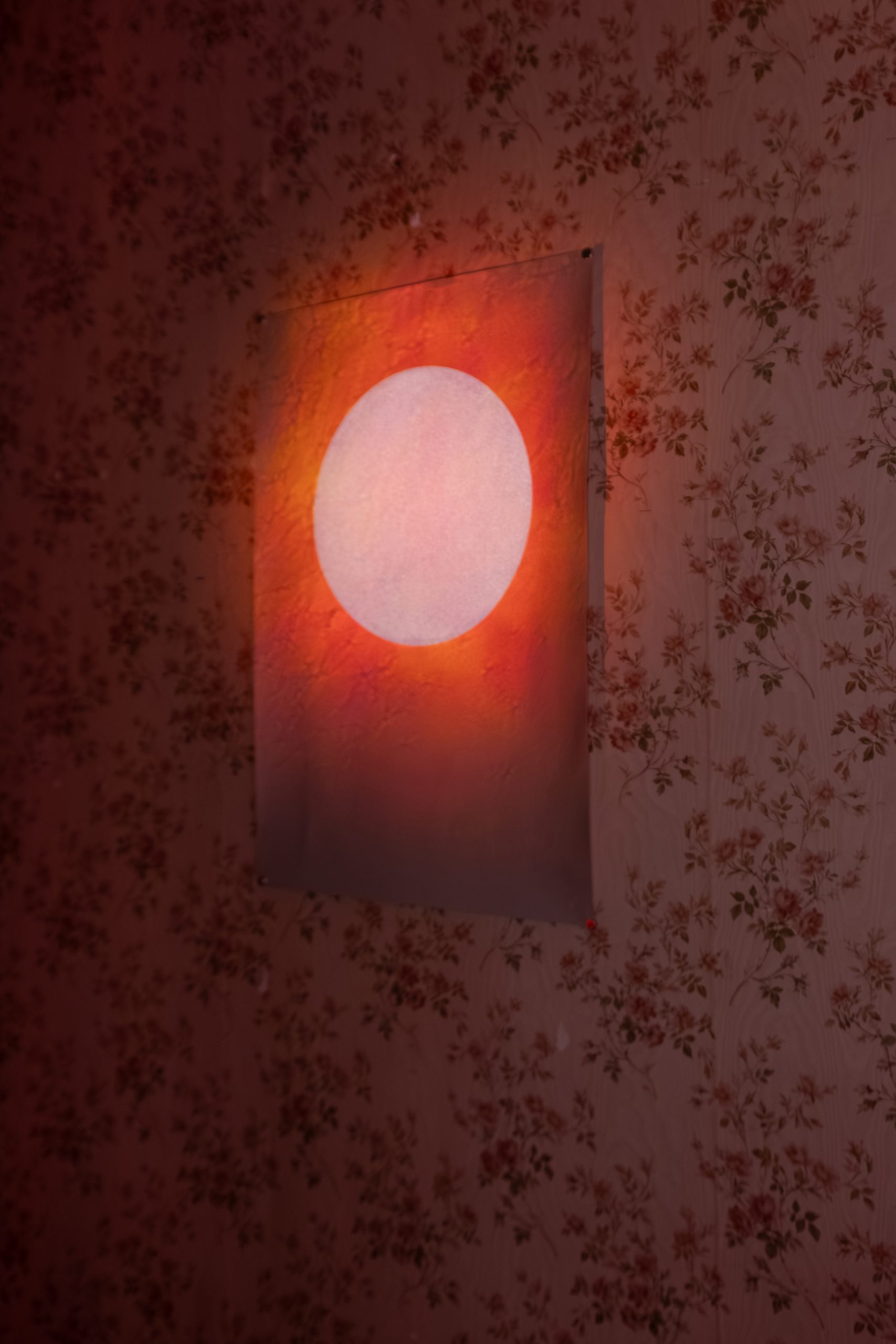 Factatory, residence de recherche, Galerie Tator