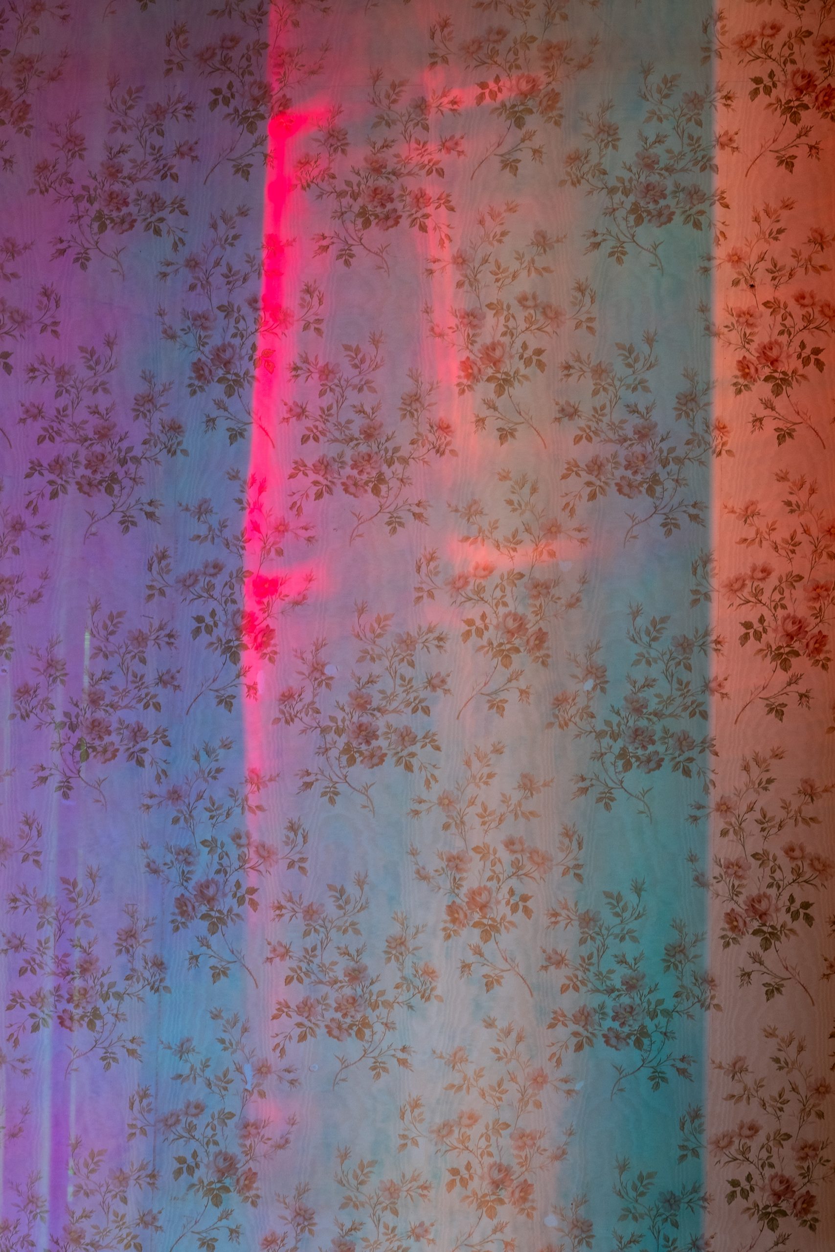 Factatory, residence de recherche, Galerie Tator